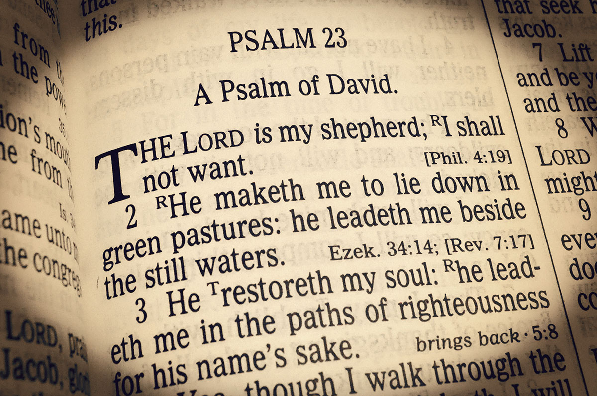 The Lord is my shepherd…