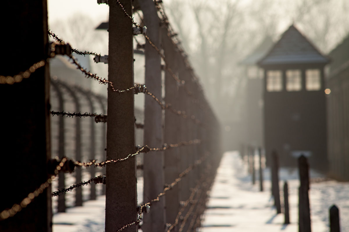 Remembering the Holocaust and those who survived