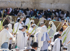Sukkot at the Kotel in Jerusalem